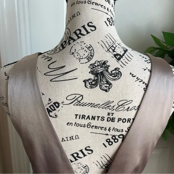 OC by OC Satin Sleeveless V-Neck Floor Length Gown Champagne Sz 12 - Picture 11 of 16